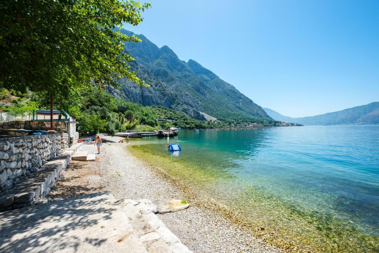 Lav * Kotor